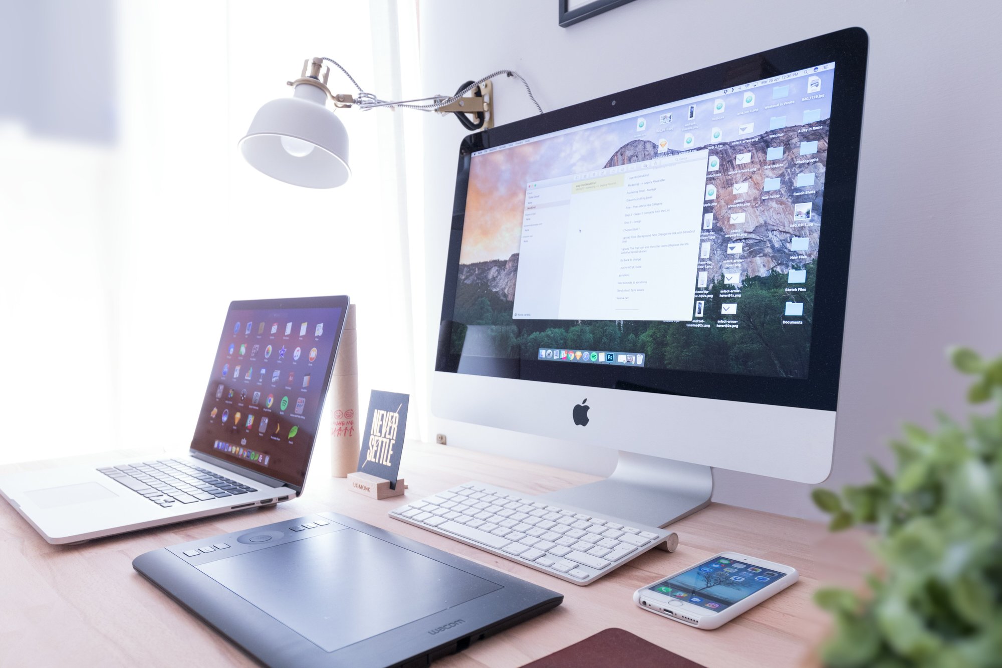 domenico-loia-EhTcC9sYXsw-unsplash domenico-loia-EhTcC9sYXsw-unsplash