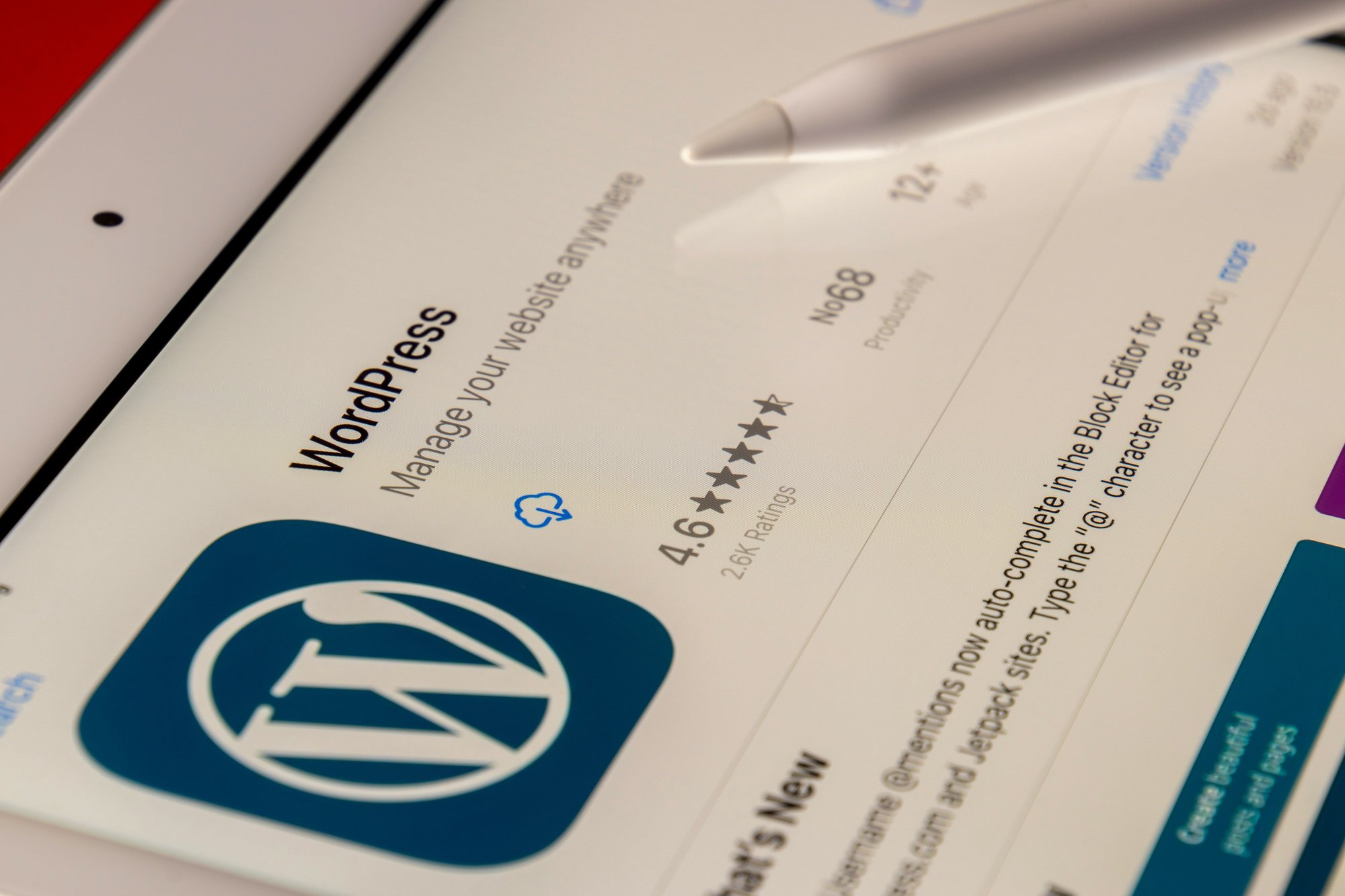 souvik-banerjee--WPrNEM_6dg-unsplash souvik-banerjee--WPrNEM_6dg-unsplash